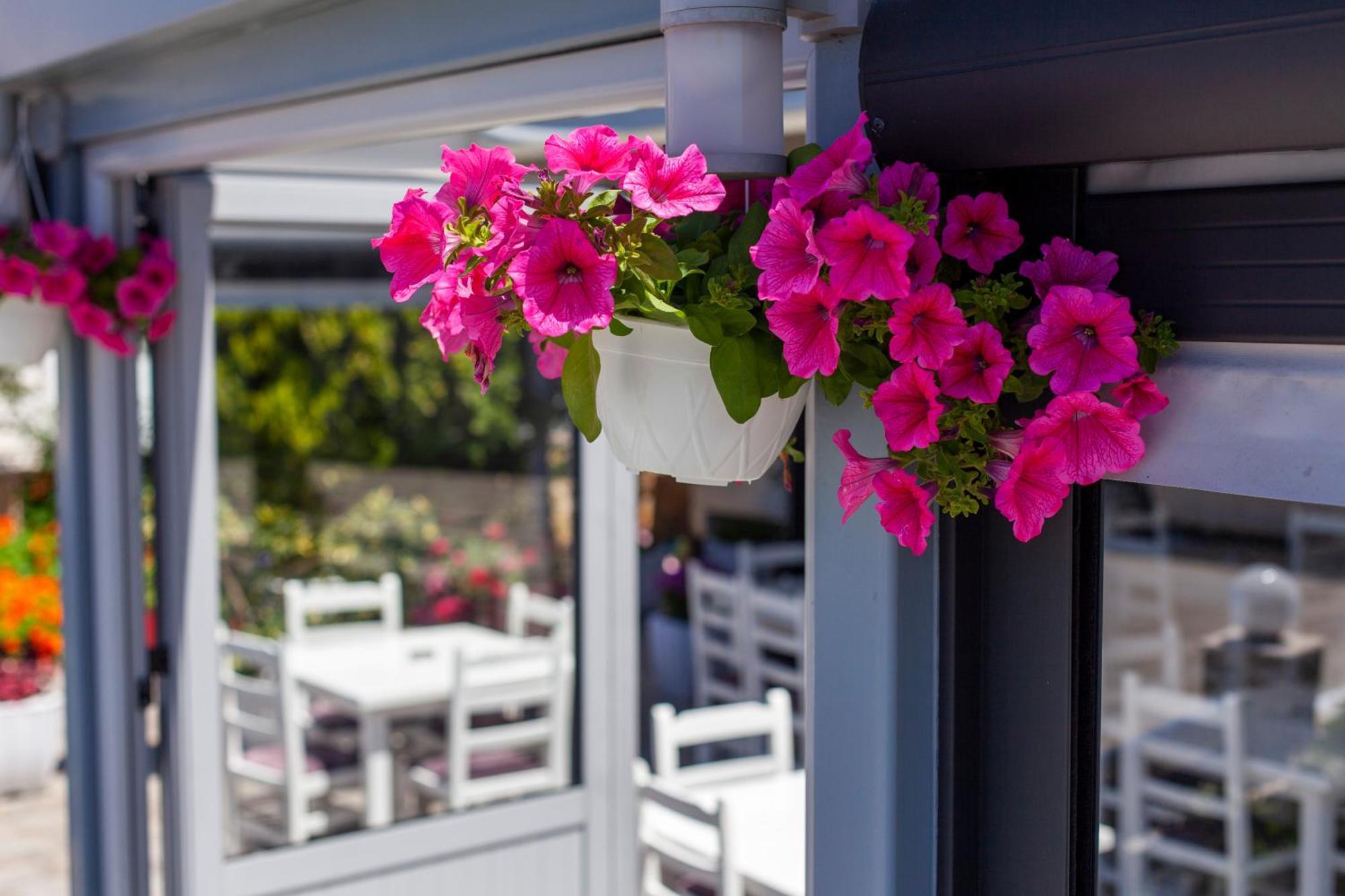 Dhima Hotel Himare Buitenkant foto